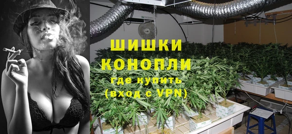 трава Бикин