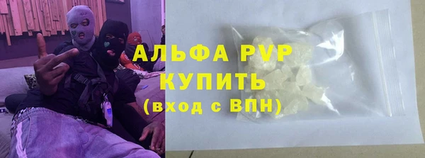 гашик Новокубанск