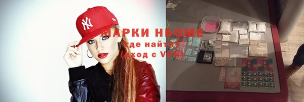 гашик Новокубанск