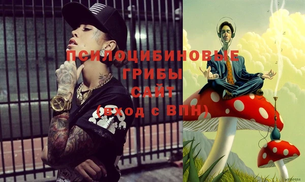 гашик Новокубанск
