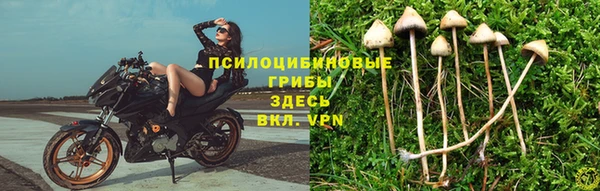 jwh Новозыбков