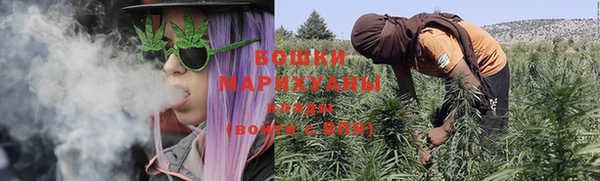 PSILOCYBIN Новодвинск
